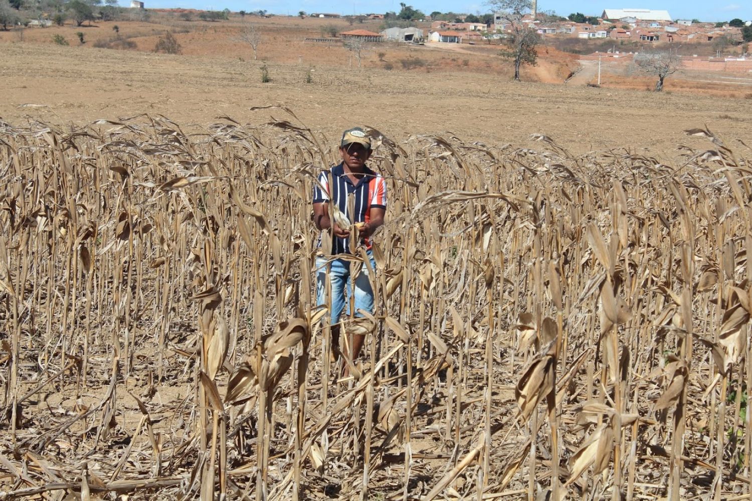 Soluções sertanejas ajudam a vencer a seca no semiárido nordestino