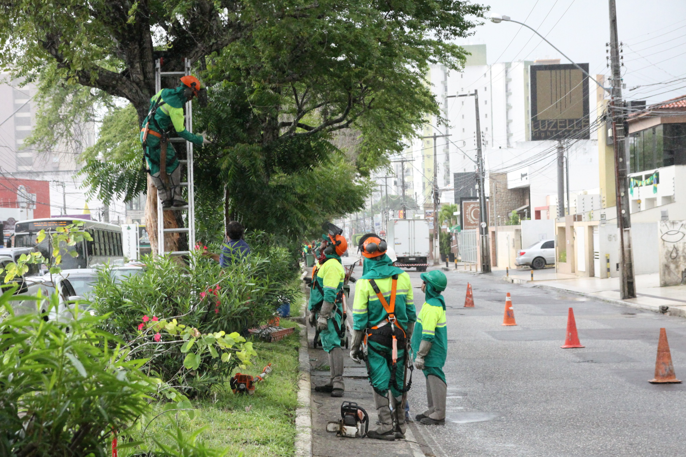 Árvores com risco de queda são retiradas em Aracaju 