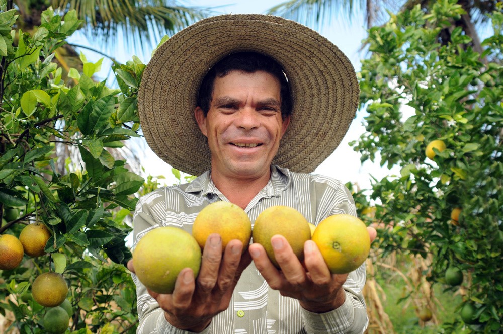 Mão Amiga: citricultores de 14 municípios recebem cartão e senha