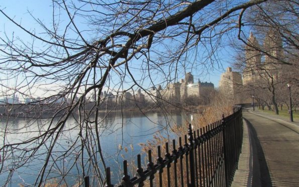 Um passeio pelo Central Park proporciona uma vista diferenciada da cidade