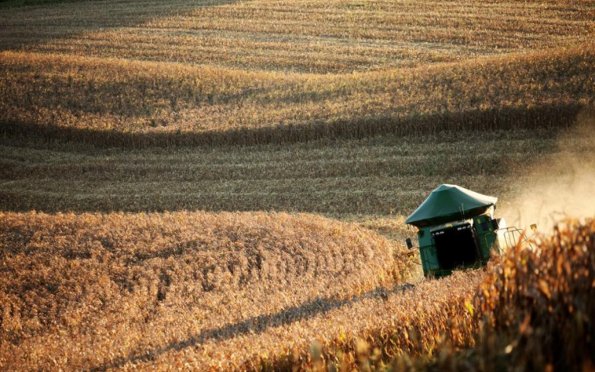 Valor Bruto da Produção Agropecuária (VBP) do estado de Sergipe em 2022