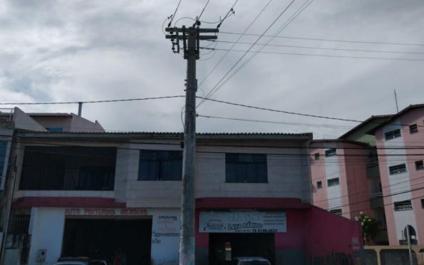 Abelhas tiram sossego de moradores em conjunto da Zona Sul de Aracaju