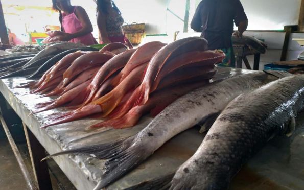 Feira de pescados acontece do próximo dia 31 a 2 de abril em Aracaju