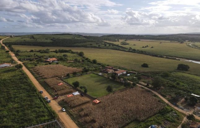 Com 5 milhões de hectares, Sealba pode alavancar relevância agrícola do Nordeste
