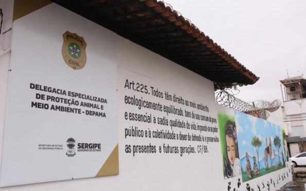 Polícia investiga morte de cães na Zona de Expansão de Aracaju