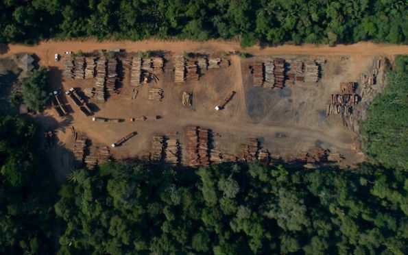 Amazônia pode estar chegando a ponto irreversível, diz pesquisa