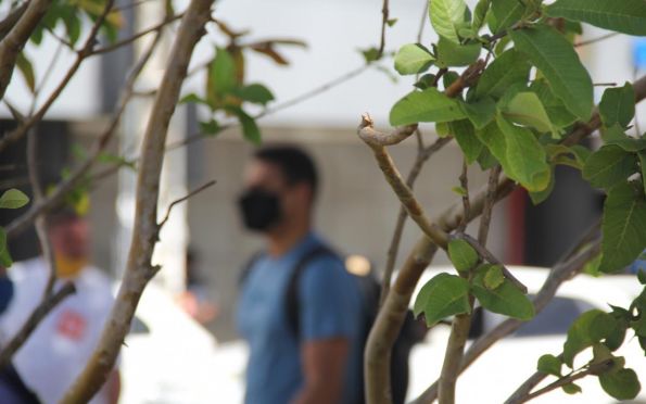 Governo de Sergipe deve desobrigar uso de máscaras, informa Belivaldo