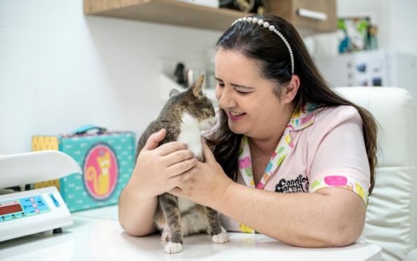Primeira clínica veterinária em Sergipe especializada em felinos amplia horário