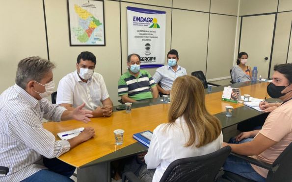 Reunião discute imunização do rebanho contra brucelose e febre aftosa em Sergipe