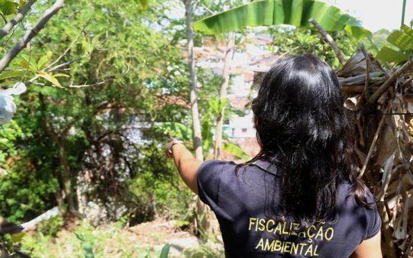 Ação integrada da Prefeitura de Aracaju monitora condições das árvores