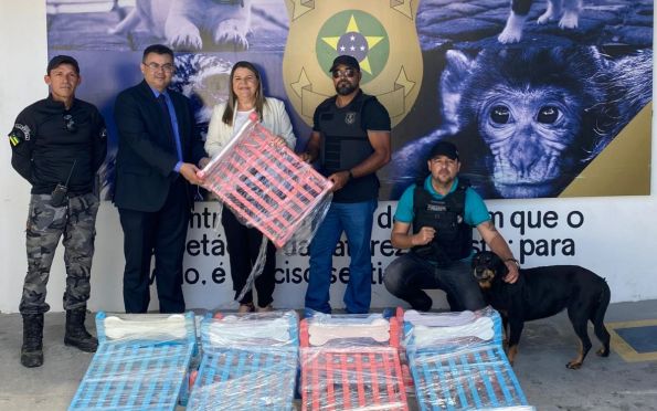 Depama recebe doação de camas para animais produzidas por internos do Copemcan