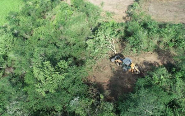 Sergipe está entre os cinco estados onde o desmatamento mais cresceu