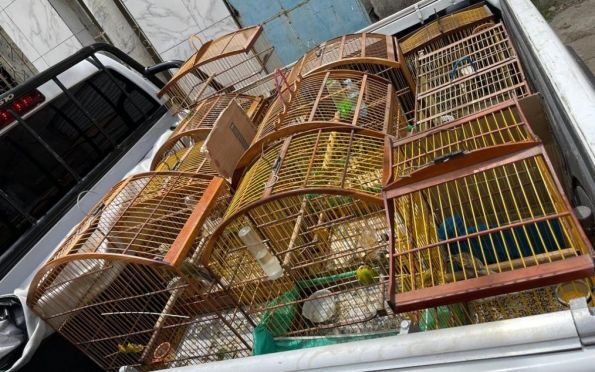 Animais silvestres são resgatados de cativeiro na zona sul de Aracaju