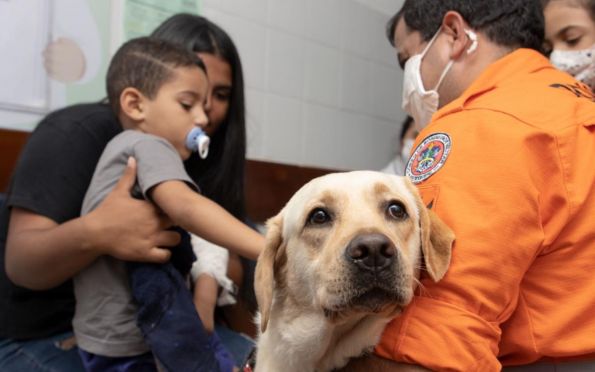 Cães dos Bombeiros auxiliam na recuperação de crianças em hospital