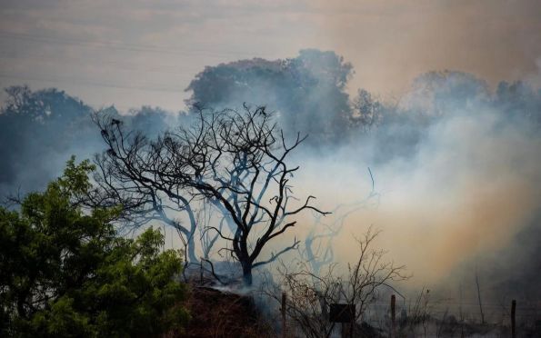 Cerca de 90% dos incêndios florestais poderiam ser evitados