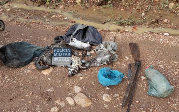 Homem é flagrado praticando caça ilegal de animais silvestres em Sergipe
