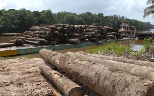 Desmatamento na Amazônia teve alta de 123% em relação a 2021, diz Inpe