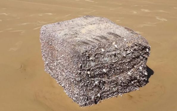 Fardo da 2ª Guerra Mundial é encontrado em praia de Aracaju