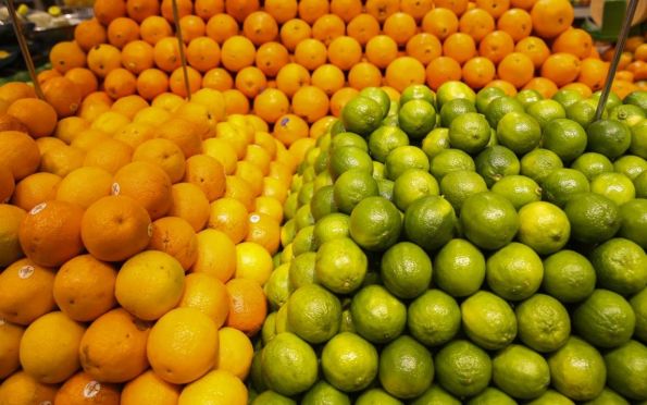 Conab explica que frutas registram queda de preços no atacado