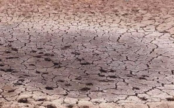 Carira entra em situação de emergência por conta da seca na cidade
