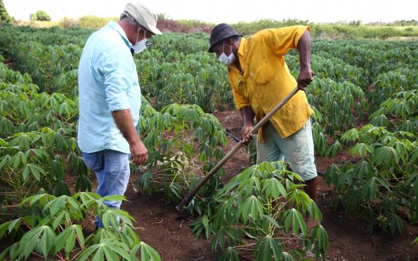 Inscrições do Garantia-Safra estão abertas para agricultores sergipanos