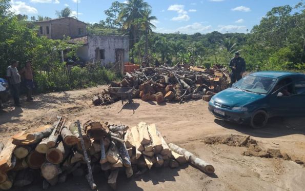 Homem é flagrado armazenando madeira nativa sem licença ambiental