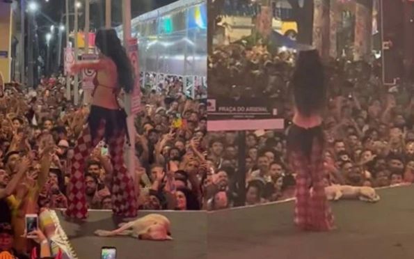 Vídeo: cachorro caramelo dorme no palco durante show de Marina Sena