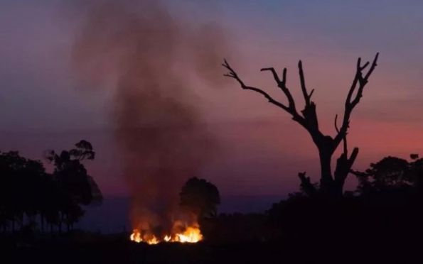 Amazônia representa 90% da área queimada no Brasil no 1º bimestre