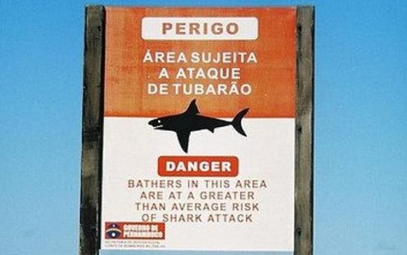 Em 16 dias, menina é a 3ª vítima atacada por tubarões em Pernambuco