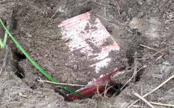 Quase 30 quilos de maconha são encontrados enterrados em Aracaju