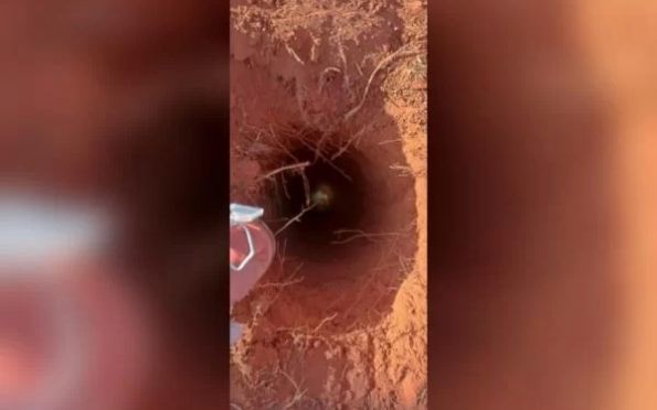 Cachorro é resgatado após cair em buraco de 4 metros em Goiás