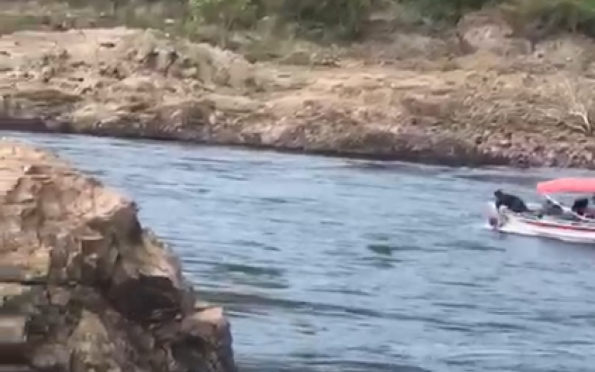 Homem tenta atravessar Rio São Francisco nadando e é resgatado; veja vídeo