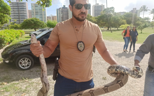 Jiboia é encontrada e resgatada no Parque da Sementeira, em Aracaju 