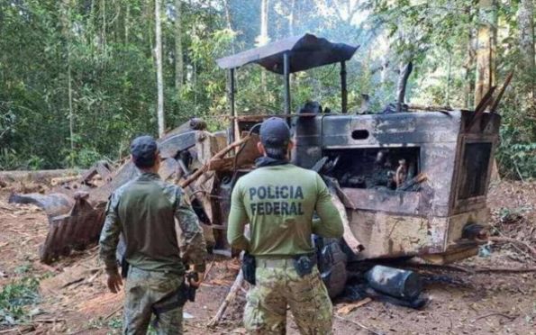 PF faz operação contra organização criminosa que agia em terra indígena