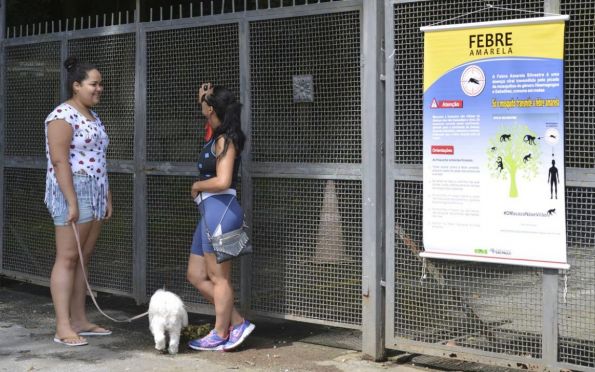 SP volta a registrar mortes por febre amarela após dois anos sem casos