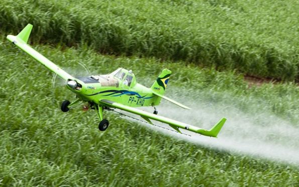 STF mantém lei do Ceará que proibiu pulverização aérea de agrotóxicos