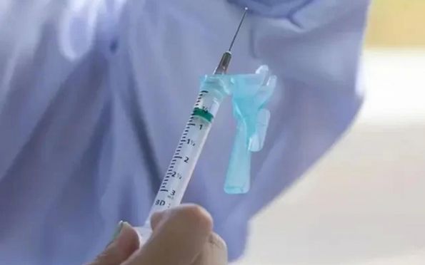 Brasileiros adaptam vacina BCG para proteger contra coronavírus
