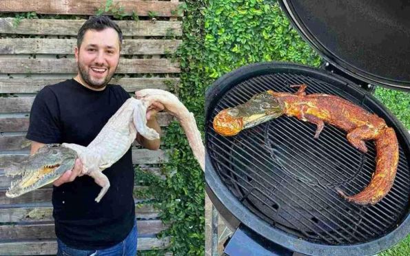 Chef pode pegar nove anos de prisão por fazer “churrasco” de crocodilo