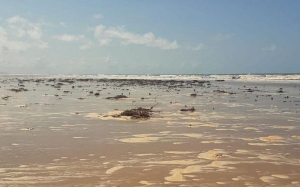 Espuma presente em praias de Sergipe não oferece risco à população