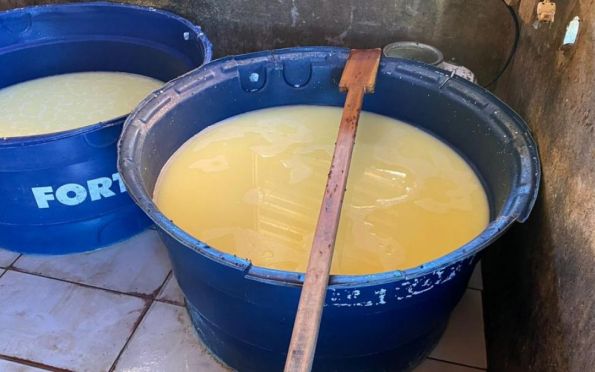 Por falta de higiene, FPI interdita queijaria e notifica pocilga em Itabi