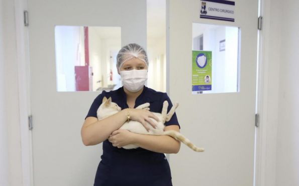 Prefeitura de Aracaju promove campanha de abrigo temporário de cães e gatos