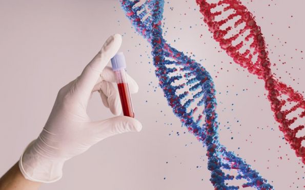 Cientistas sequenciam cromossomo Y, responsável pelo fenótipo masculino 