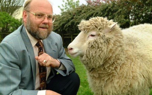 Cientista que liderou clonagem da ovelha Dolly morre aos 79 anos