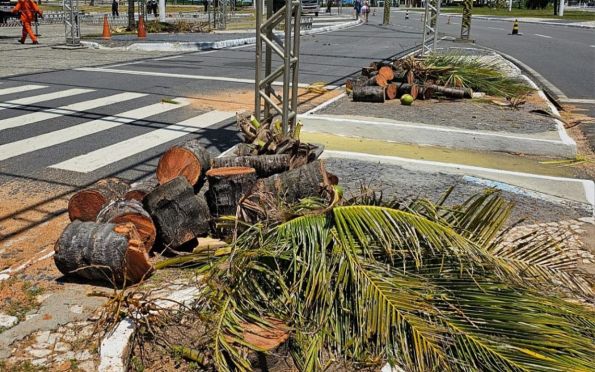 Entenda o que motivou remoção de árvores na Orla da Atalaia que viralizou