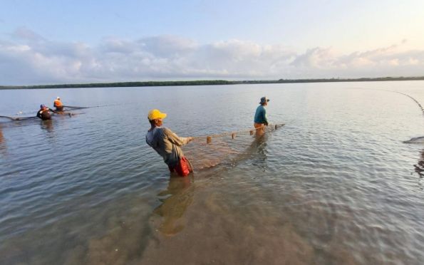 Projeto estuda impacto socioambiental de redes em estuários de Sergipe 
