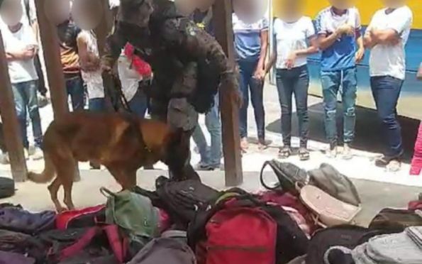 Sintese denuncia PM por revista a estudantes com cão farejador em São Cristóvao