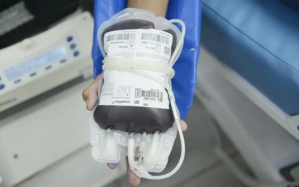 Aplicativo facilitará doações de sangue no Brasil 