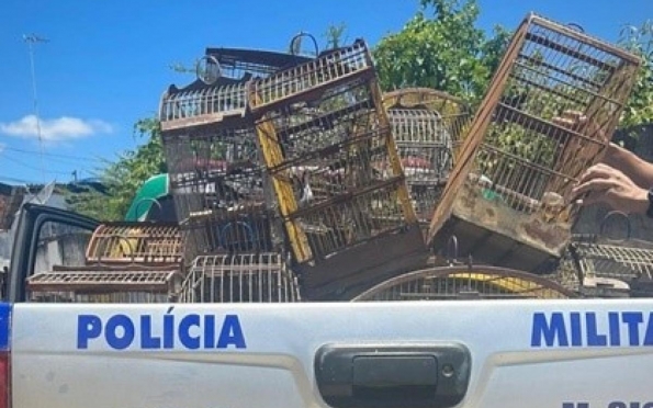 Vinte pássaros em cativeiro são apreendidos em São Cristóvão (SE)