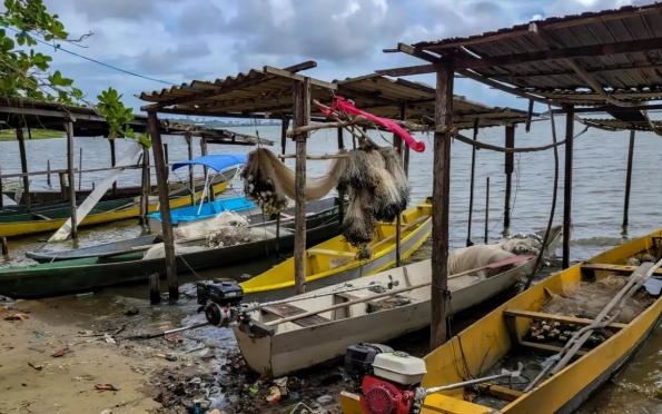 Peixe na água e rede vazia: desastre da Braskem atinge pescadores