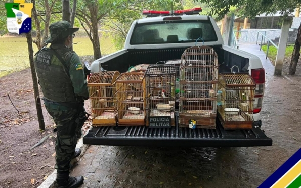 Polícia flagra criação ilegal e apreende sete aves silvestres em Aracaju